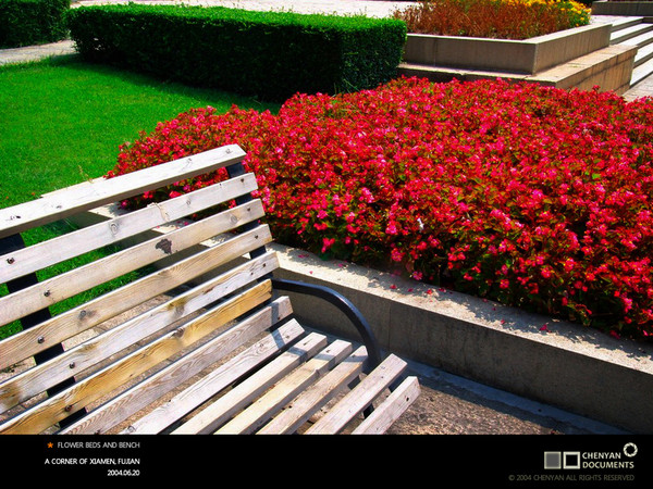 夜深，轻凝厦门的眼神1