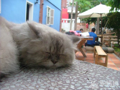 复古、文艺、小清新-鼓浪屿小资咖啡馆9