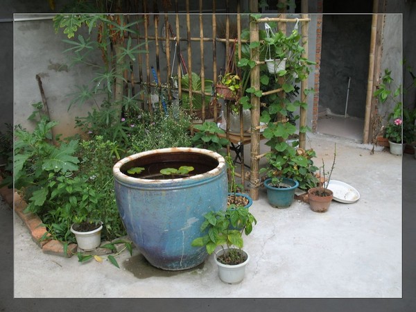 上一个夏天的美好回忆—lost in amoy2