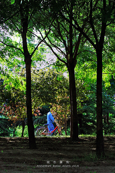 城市广角◎滨海小撷3
