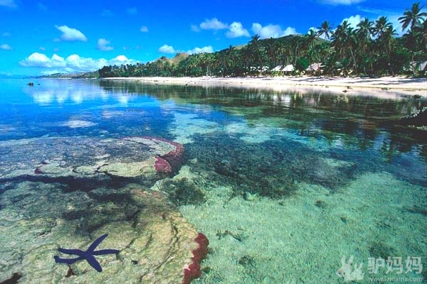 热带野生动植物园1