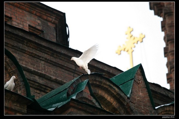 城市印象之---东北（三）5