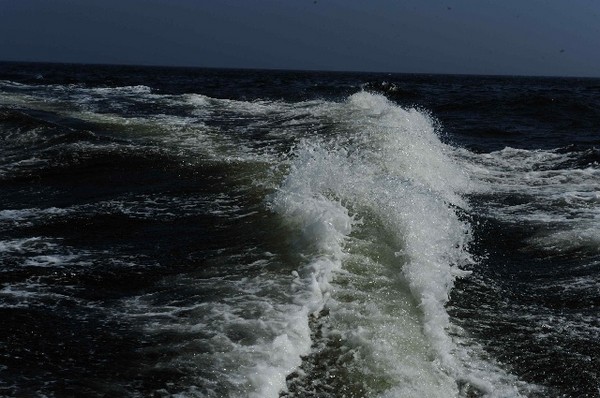 大连海边的印象7