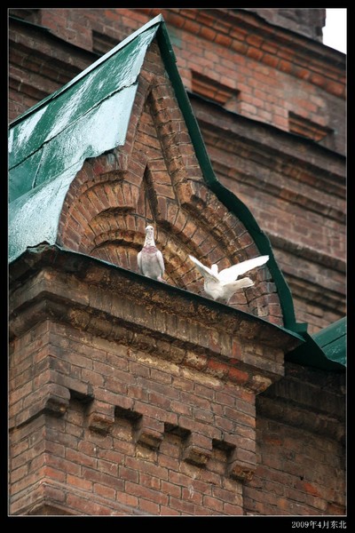 城市印象之---东北（三）3