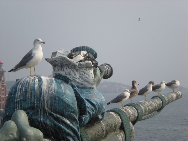 大连老虎滩海洋公园小记15