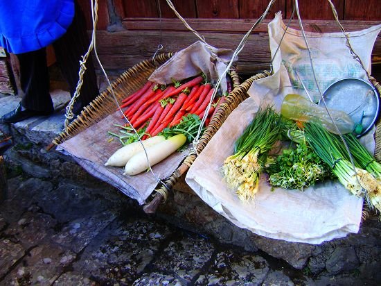 丽江的17 种表情8