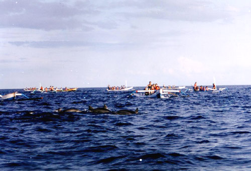 巴厘岛娱乐休闲推荐2