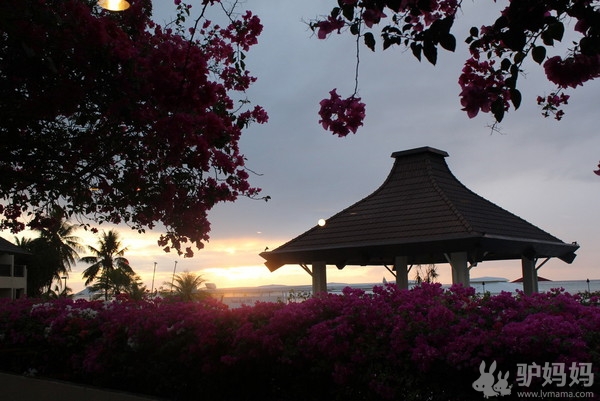 塞班岛旅游注意事项:悠悠塞班行1