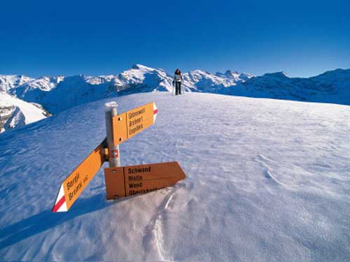 去瑞士享受激情滑雪(图)6
