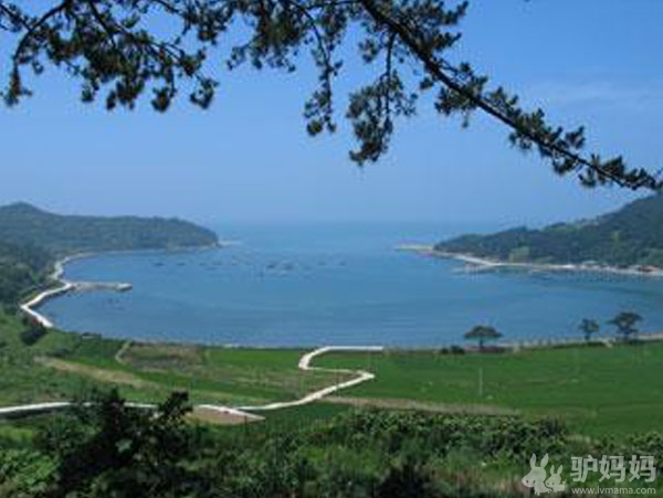 韩国最佳旅游季节:浪漫岛屿VS国立公园,寻找最绿色的韩国6