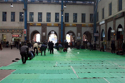 每日必跪让人五体投地的开罗1