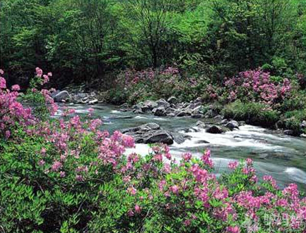 韩国最佳旅游季节:浪漫岛屿VS国立公园,寻找最绿色的韩国12