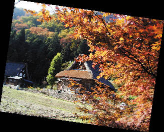 秋游日本从富山开始2