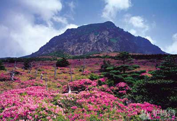 韩国最佳旅游季节:浪漫岛屿VS国立公园,寻找最绿色的韩国16