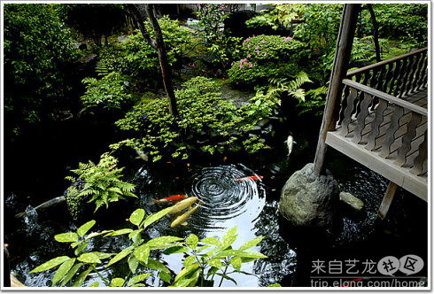 东瀛画卷(6)——艺伎春花的故事2