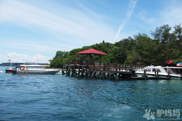 沙巴文莱旅游攻略--沙巴，婆罗洲的神秘乐园4