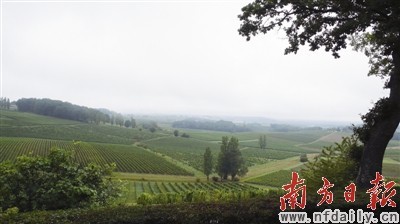 邂逅法国最美季节 贝尔热拉克哼唱田园牧歌5