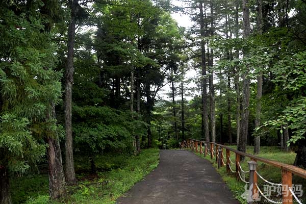 日本首发团：日本富士山、箱根温泉游记7
