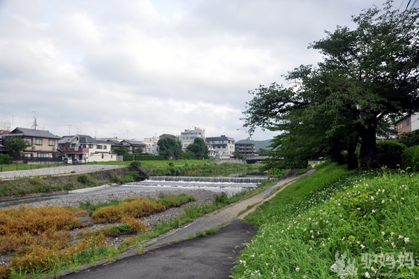 日本旅游最佳路线 箱根-名古屋-京都23
