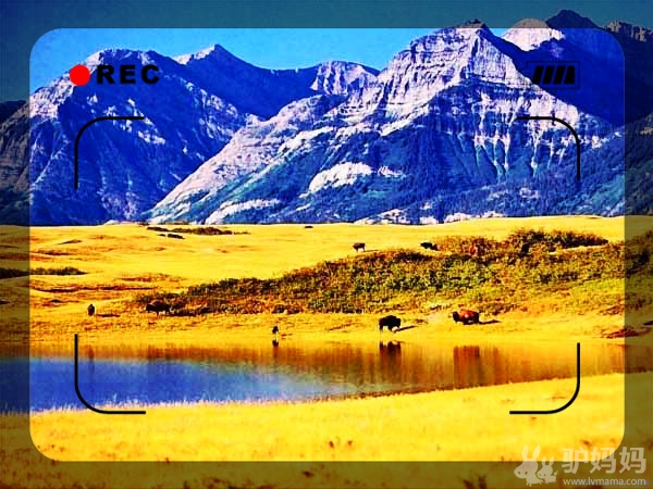 喜欢非洲的人，才是喜欢最纯粹真实生活的人11