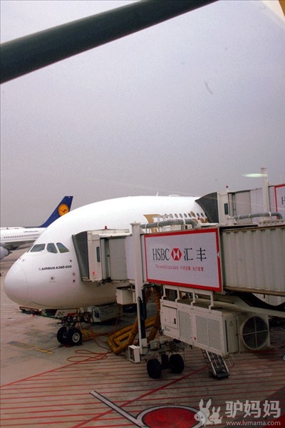 迪拜首发团:迪拜阿联酋航空A380奢华体验,驴妈妈小编独家考察攻略2