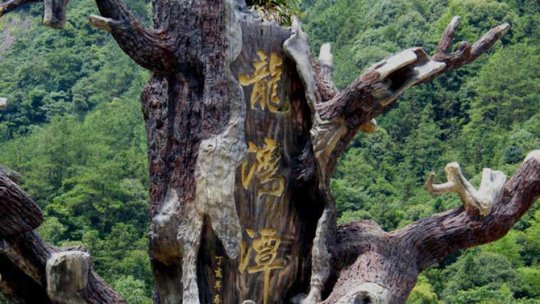 龙湾潭国家森林公园