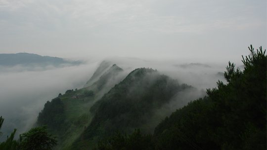 雨台山