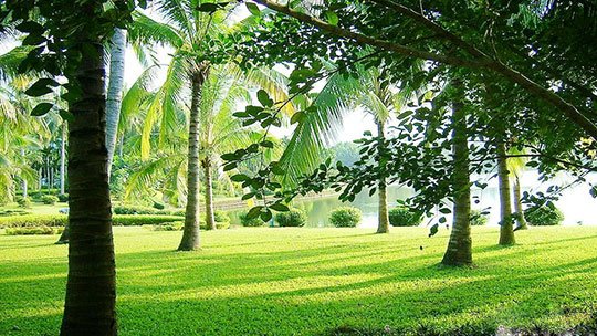 兴隆热带植物园