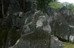双龙山森林公园
