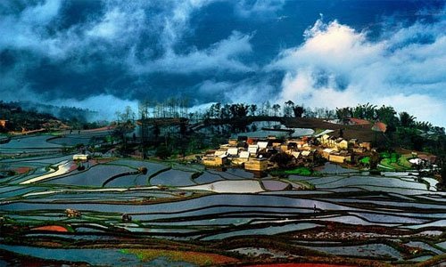 湖南紫鹊界梯田