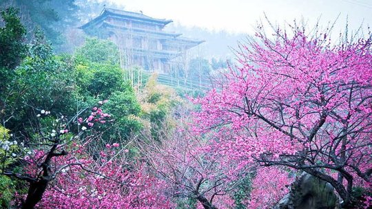 开化根宫佛国文化旅游区