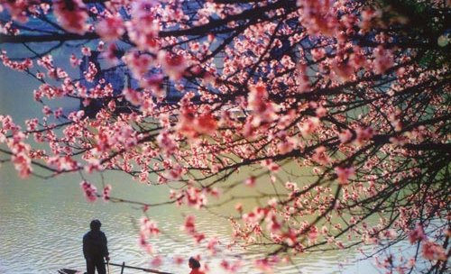 富春桃源风景区