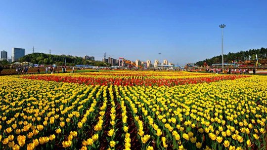 湖南省森林植物园