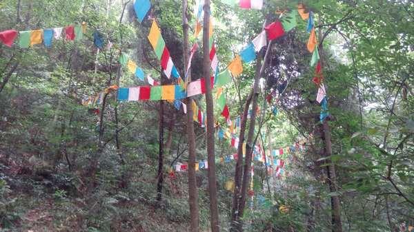 彭州三味禅林一日游 登山,寺庙24