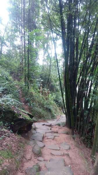 彭州三味禅林一日游 登山,寺庙62