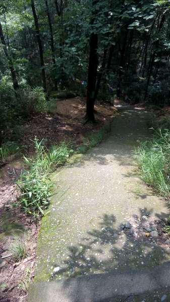 彭州三味禅林一日游 登山,寺庙60
