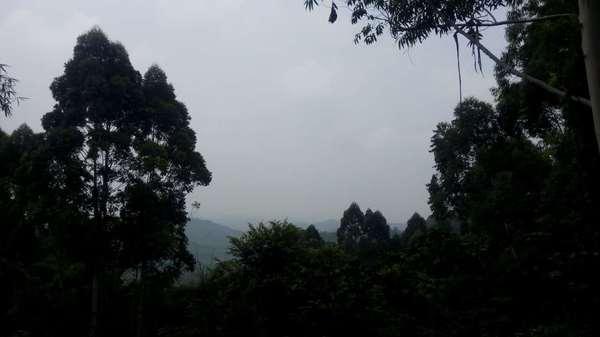 彭州三味禅林一日游 登山,寺庙27