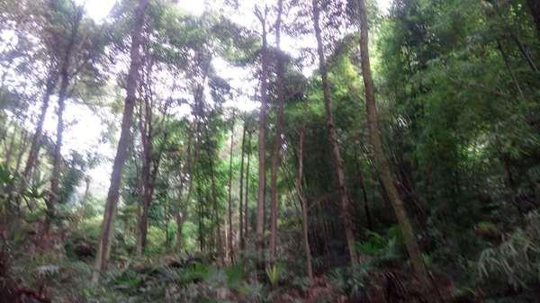 彭州三味禅林一日游 登山,寺庙10