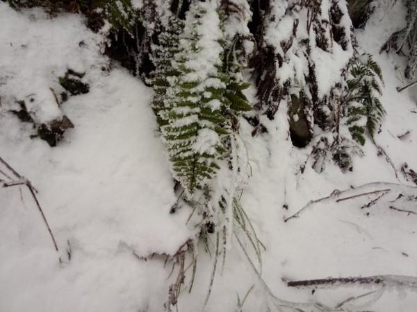 2015年2月2日彭州回龙沟看雪28
