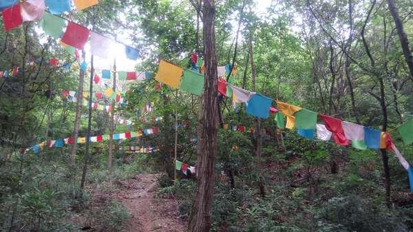 彭州三味禅林一日游 登山,寺庙25
