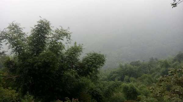 彭州三味禅林一日游 登山,寺庙32