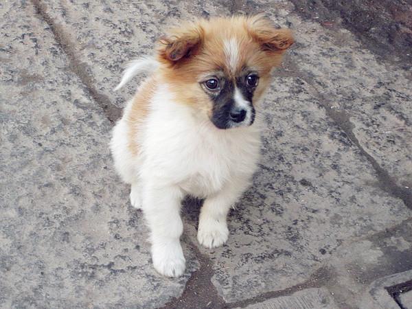 日光、暖风、十二月的南国——爱在西塘54