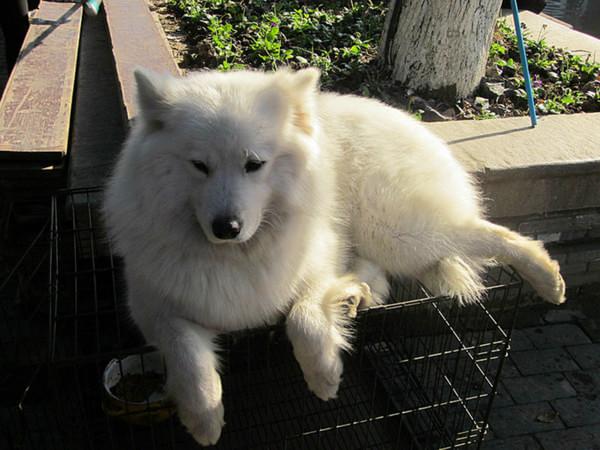 日光、暖风、十二月的南国——爱在西塘52