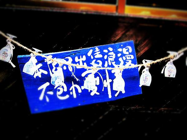 日光、暖风、十二月的南国——爱在西塘30