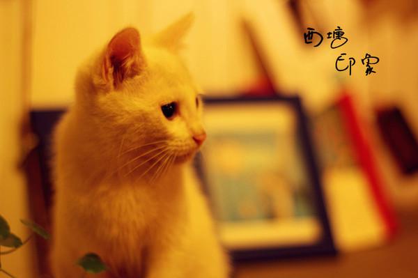 跨年西塘（照片更新完毕）42