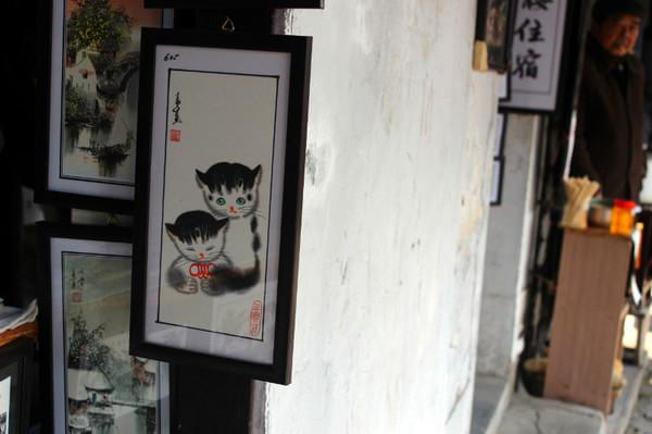 初见西塘——只为最美的相遇17