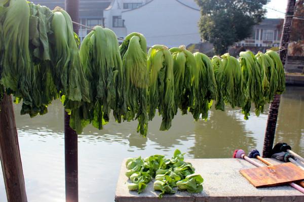 初见西塘——只为最美的相遇13