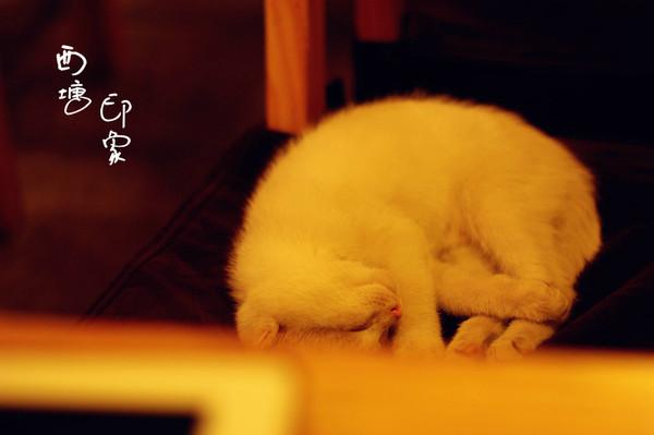 跨年西塘（照片更新完毕）43