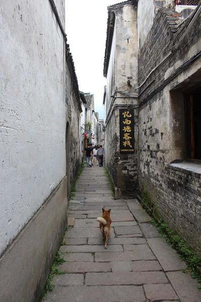 嘉兴西塘古镇12