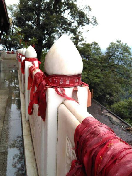 都江堰5